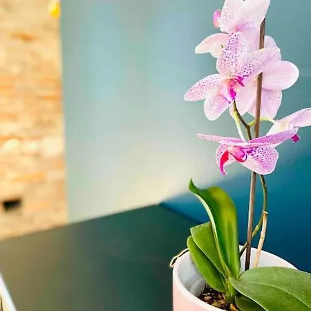 Appartamento Mon Bout De Garonne - Tolosa