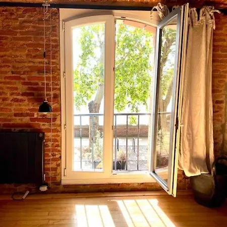 Mon Bout De Garonne - Apartment Toulouse