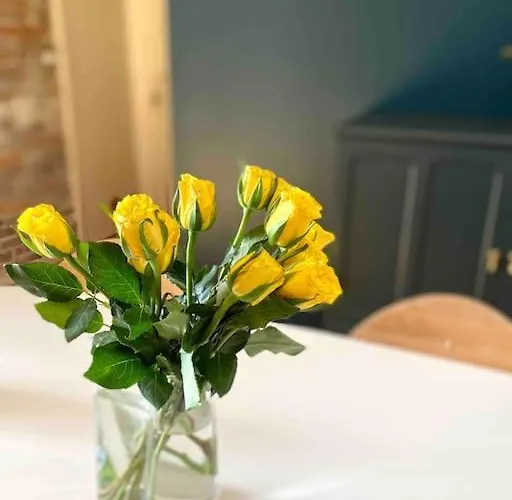 Mon Bout De Garonne - *